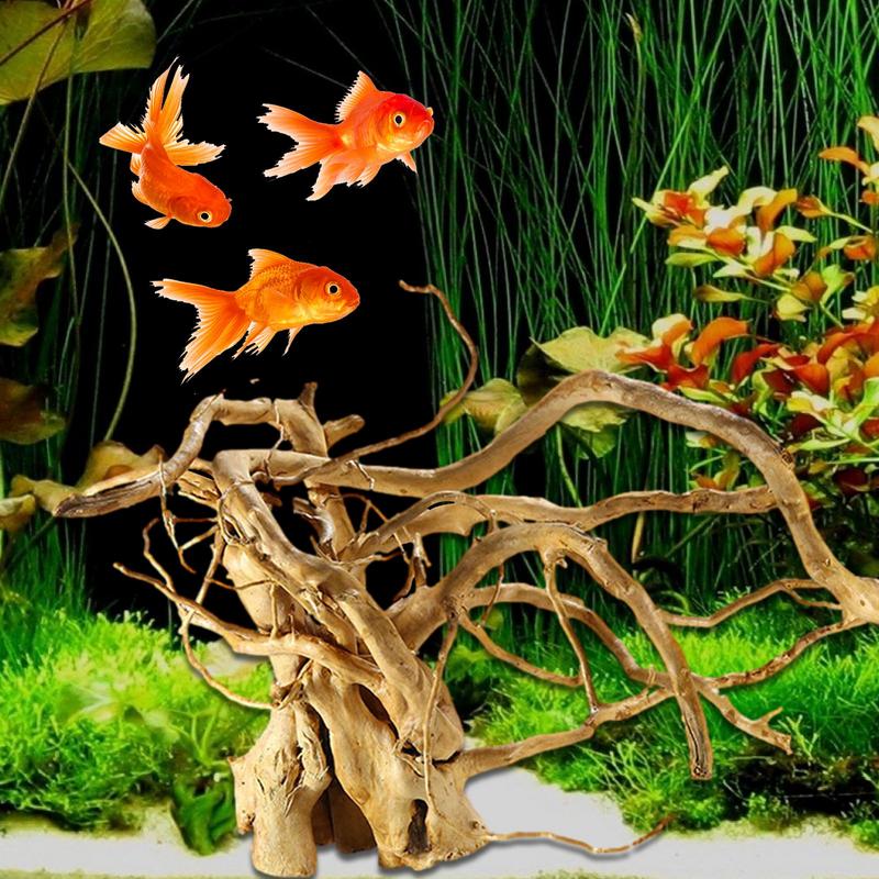수족관 유목 장식 나무 줄기 나무 스틱, 단단한 파충류 - Aquarium Plant Root Tabs 리뷰 및 가격