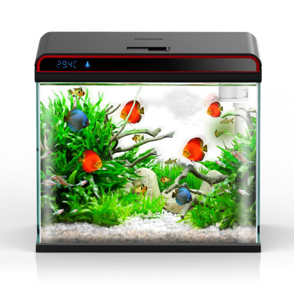 썬썬 4-in-1 수족관 물질 조절기 - 세척/조류 제 - Planted Aquarium Algae Control 리뷰 및 가격