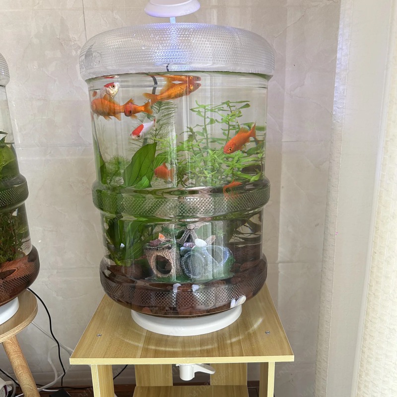 즉시 설치 가능한 가정용 어항 30x30cm 플라스틱  - Aquarium Planted Tank Setup 리뷰 및 가격
