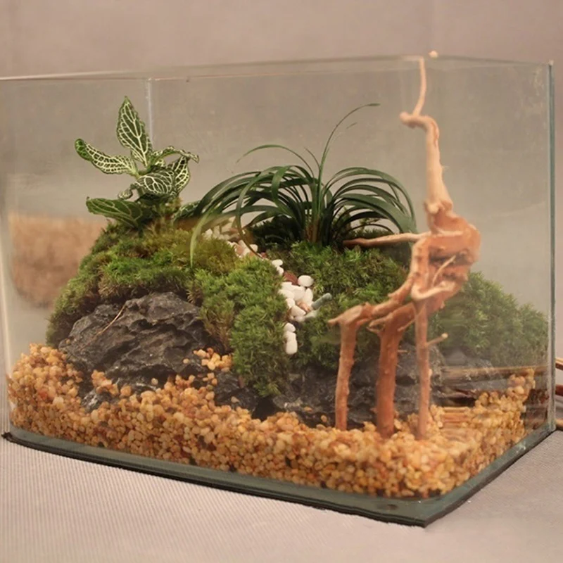 천연 나무 줄기 유목 수족관 물고기 탱크 파충류 실린더 - Aquarium Plant Root Tabs 리뷰 및 가격