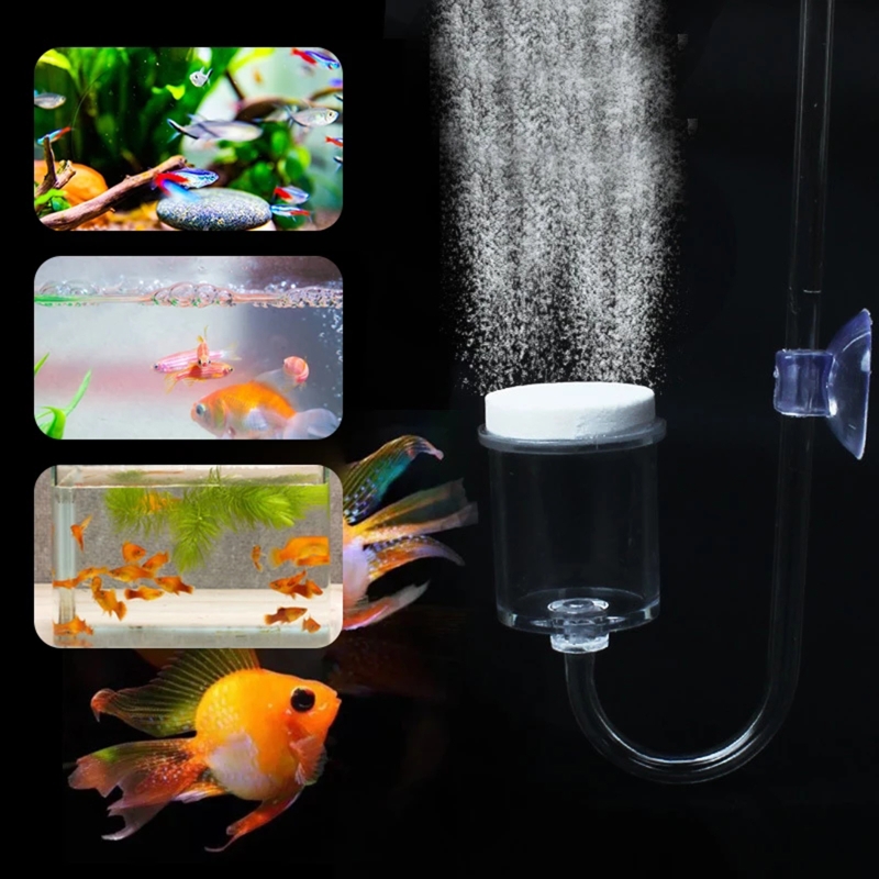 수족관 유리 탱크용 DIY CO2 디퓨저, 버블 반응기 - Planted Aquarium Kit 리뷰 및 가격