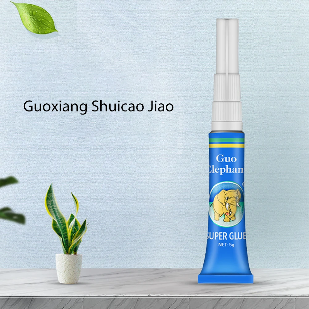 수생 식물 유목 수중 젤 조경 이끼 접착제 수족관 물  - Planted Aquarium Equipment 리뷰 및 가격